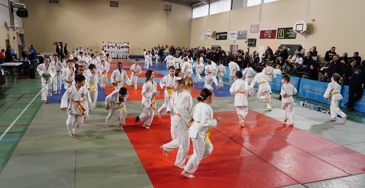 MJC Tarascon judo event A Focus on Martial Arts and Movement